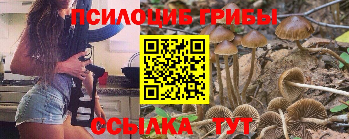 Псилоцибиновые грибы Psilocybe Сатка